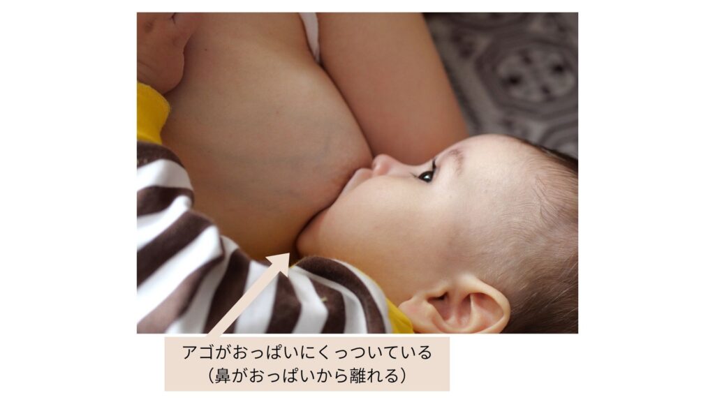 赤ちゃんが上手に母乳を飲み取りやすい抱っこ姿勢のポイント３