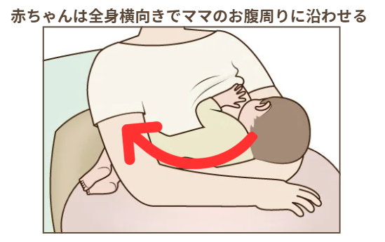 赤ちゃんが上手に母乳を飲み取りやすい抱っこ姿勢のポイント２